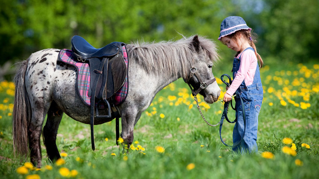kid and pet_pony_horse